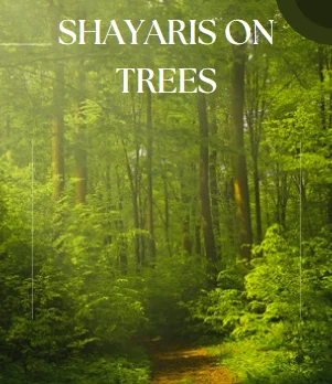 Shayaris-on-Trees